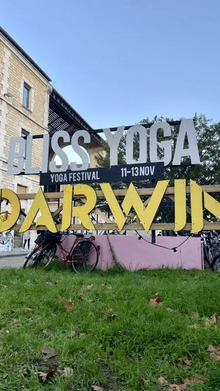 bliss yoga festival